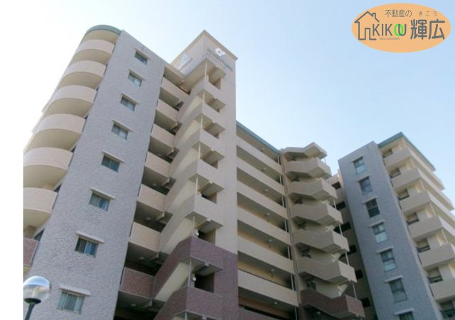 外観：328000595065