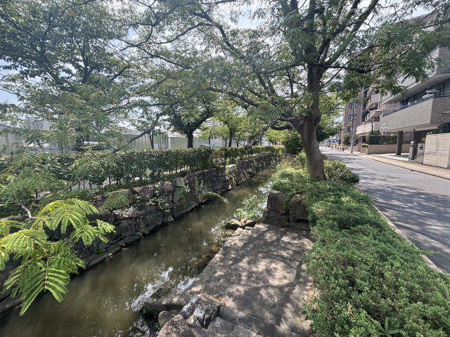 敷地前は緑豊かな葛西用水桜通りに面しており、春には美しい桜並木の景観を楽しめます。