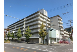 ハイツ白川の外観