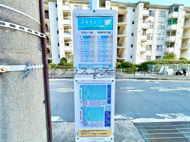 コミュニティバス停♪須磨駅まで乗車約9分です♪　