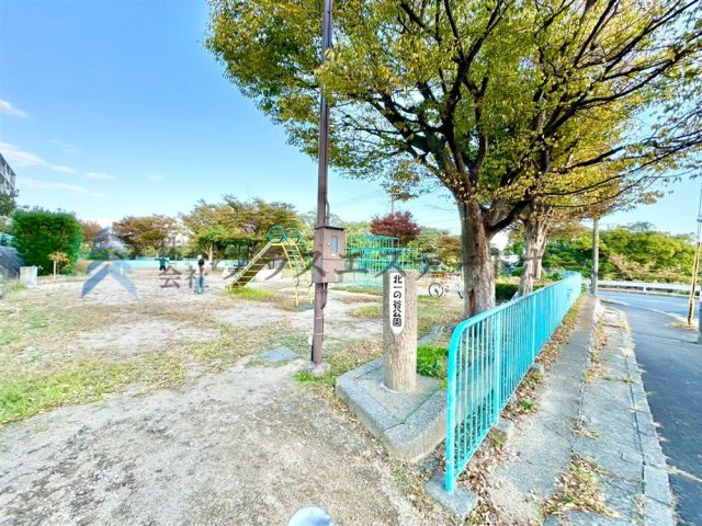 マンションの隣に小さな公園があります♪