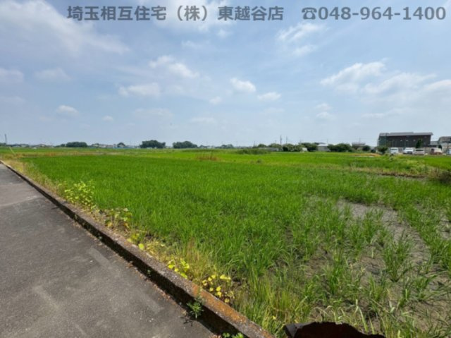 令和8年7月撮影