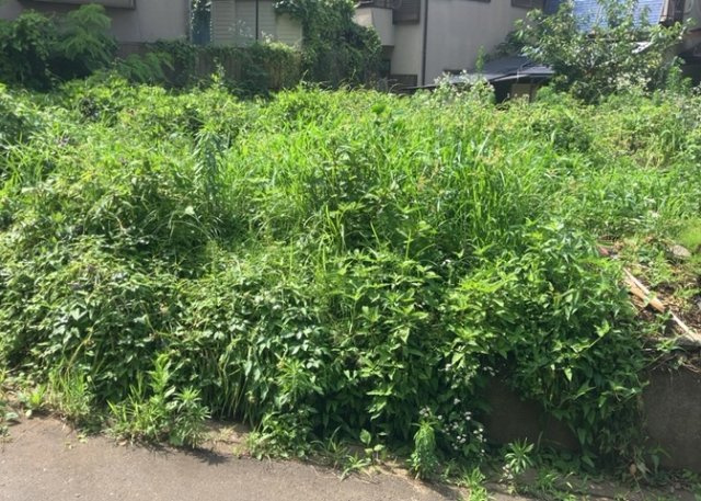 土地を買う際、住む地域の自治体や福祉の補助制度にも注目してみましょう。子供や老人の医療補助やゴミ出しのルールなど、自治体によってルールに大きな違いがあるため、暮らしやすい土地で判断するとよいでしょう。