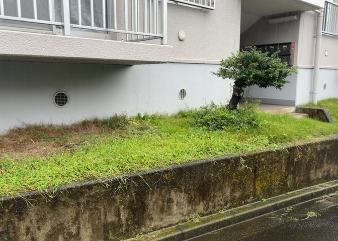 物件によっては、入居者が個人的に使用できる専用庭がついているものもあります。また、住宅の中にある土間の部分を庭と呼ぶこともあります。庭の用途は住む人によって変わり、それによってデザインもさまざまです。