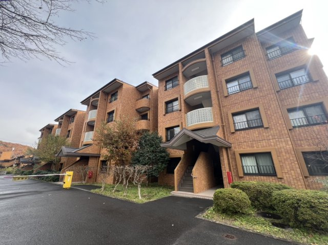 外観：304000330253