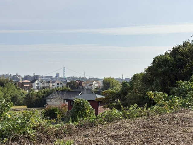 外観：328000558582