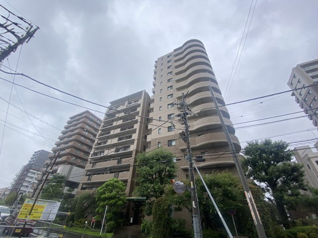 外観：311002495325