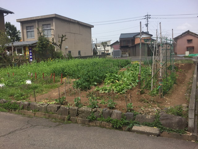 現地