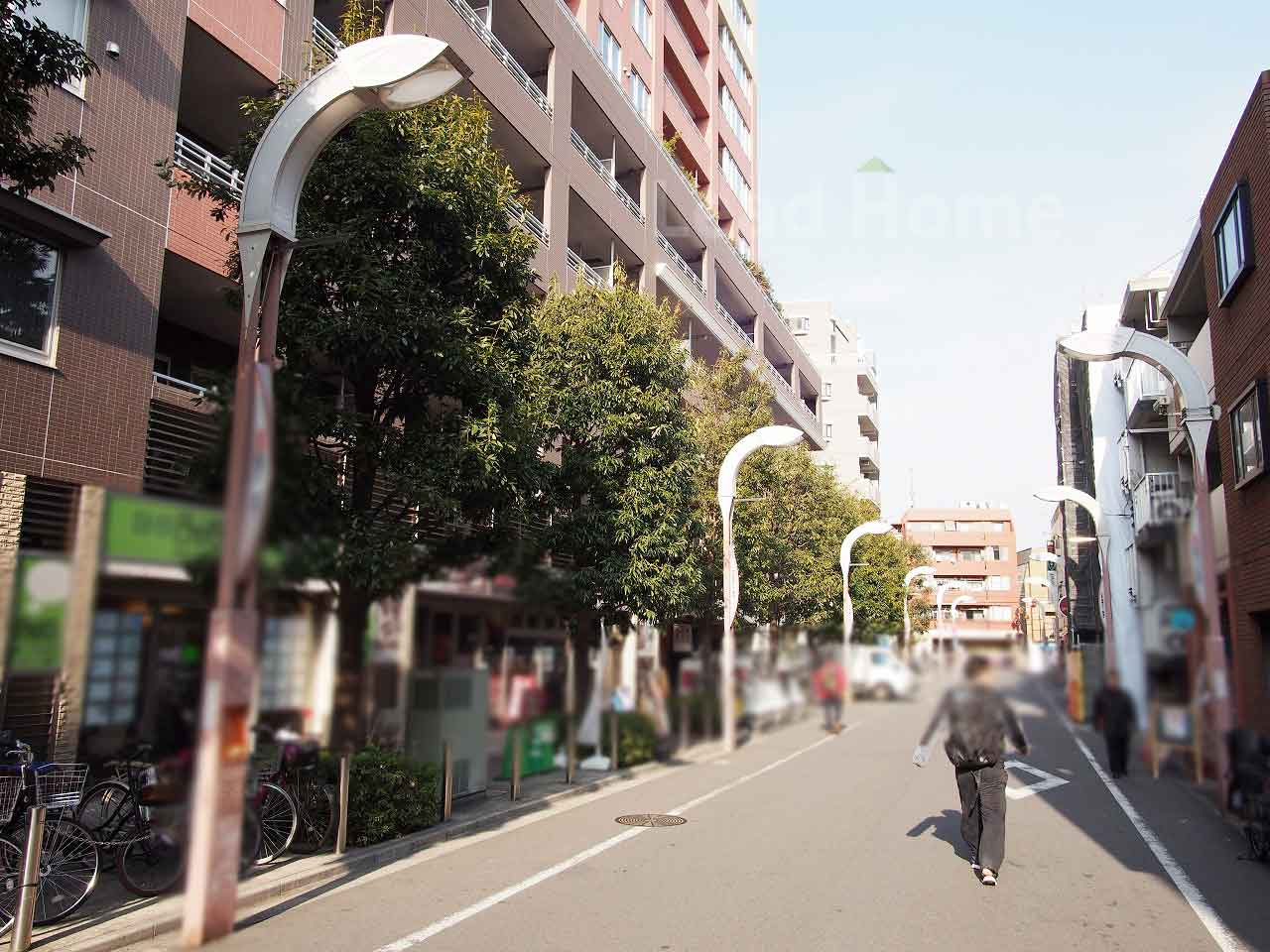 前面道路
