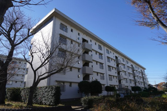 外観：312001186782