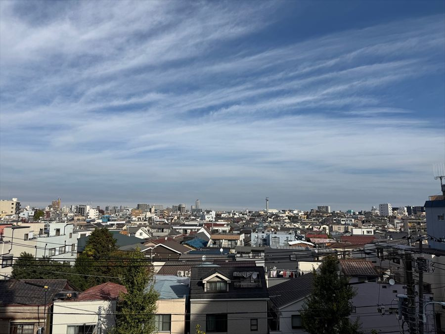 展望