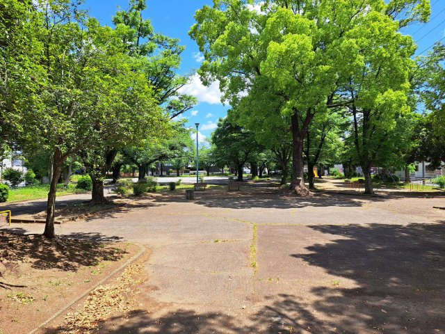 徒歩1分の松原公園　春夏は緑あふれる公園。秋はイチョウがきれいです。災害時の避難場所に指定されています。