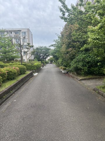 敷地内道路です。管理体制良好です♪
