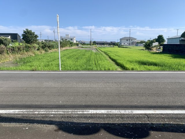 真南向きで前面に遮るものもなく、日当たり良好です