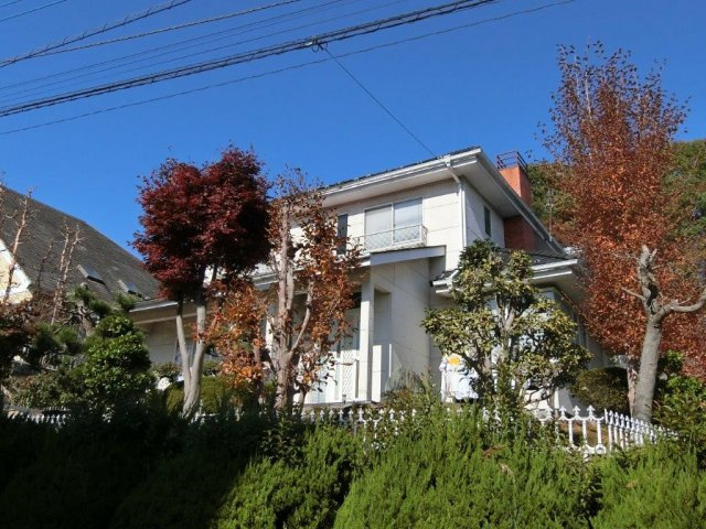 外観：309000072090