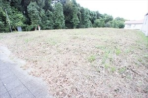 外観：308000146226