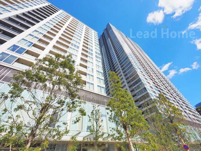 外観：313004543786