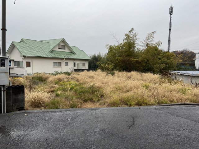 外観：330000074609