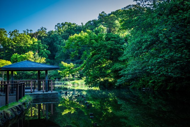 東京ドーム5個分の久良岐公園が隣接