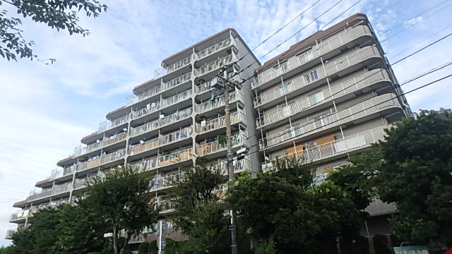 外観：311002384577