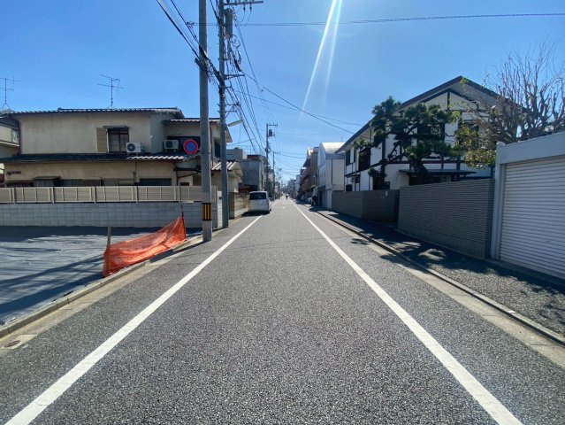 2026年3月12日撮影