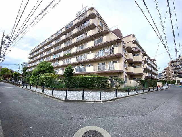 外観：313004876297
