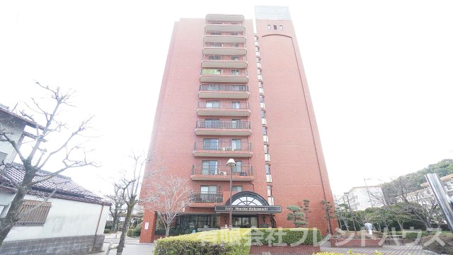 外観：334000230391