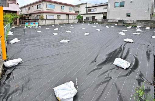 外観：314002450520