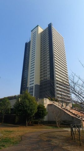 外観：311002382540