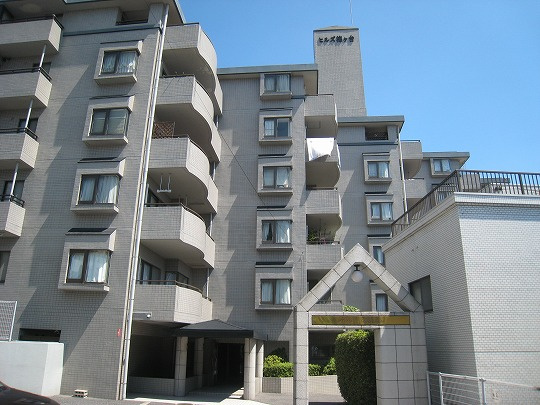 外観：334000192550