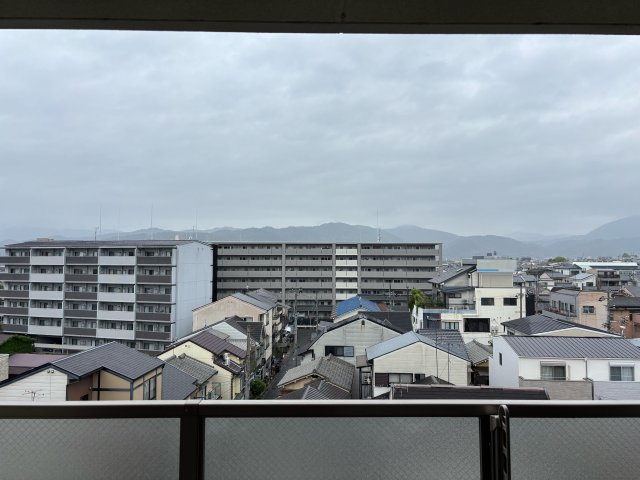 展望