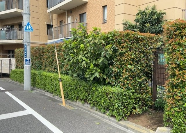 物件によっては、入居者が個人的に使用できる専用庭がついているものもあります。また、住宅の中にある土間の部分を庭と呼ぶこともあります。庭の用途は住む人によって変わり、それによってデザインもさまざまです。