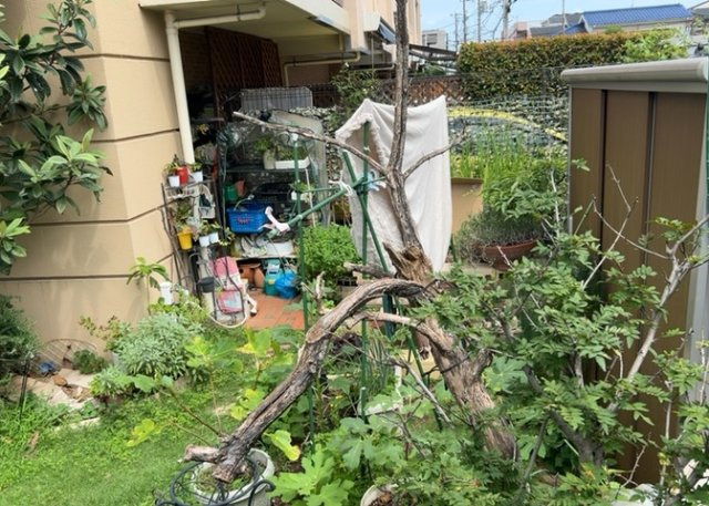 中庭（パティオ）とは、一つの建築物の内部に設けられた、壁などで囲われている庭のことを指します。コの字型、ロの字型が主流ですが、L字型の中庭もあります。最近では、インテリア性の高さからも人気があります。