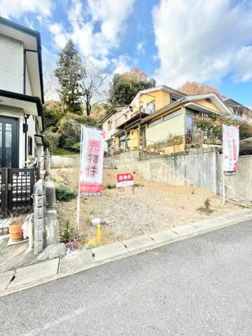 陽当たり良好♪