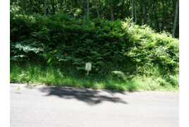 荘川ビレッジ③の外観