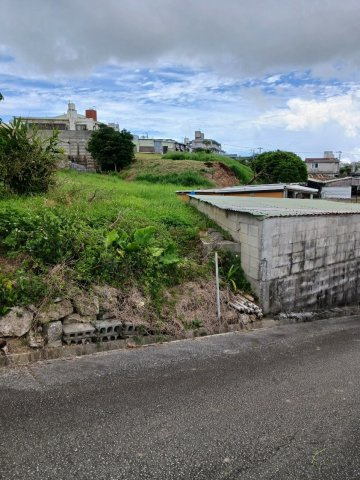 外観：347000065944