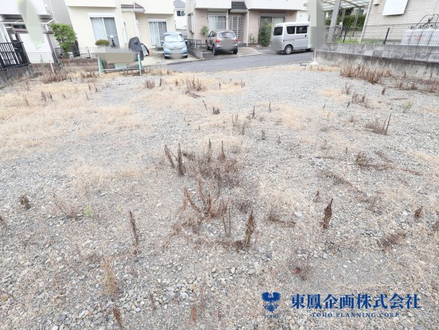 2026年7月　撮影