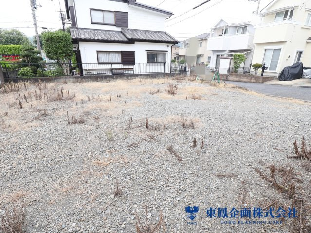 2026年7月　撮影
