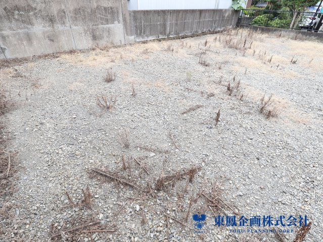 2026年7月　撮影