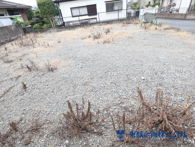 2026年7月　撮影