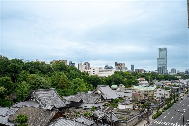 展望