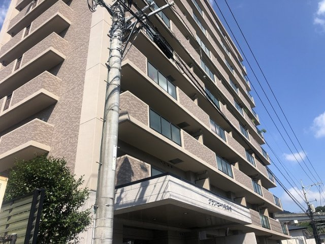 外観：334000262120
