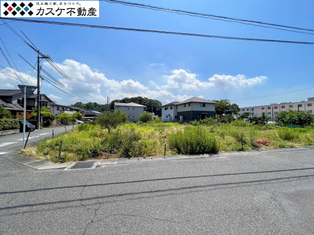 外観：333000053365