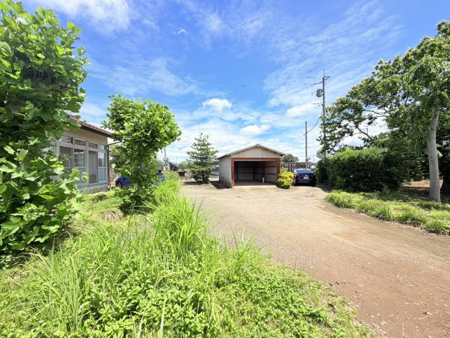 庭