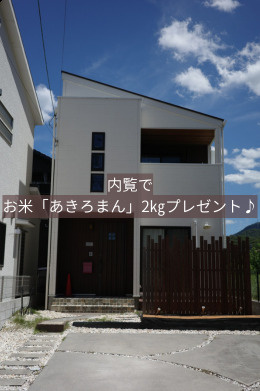 外観：334000245360