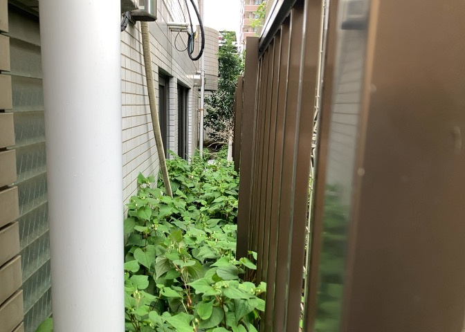 中庭（パティオ）とは、一つの建築物の内部に設けられた、壁などで囲われている庭のことを指します。コの字型、ロの字型が主流ですが、L字型の中庭もあります。最近では、インテリア性の高さからも人気があります。