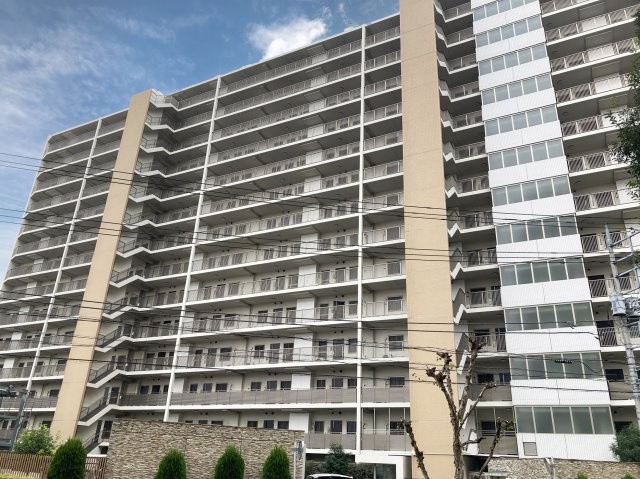 外観：311002348395