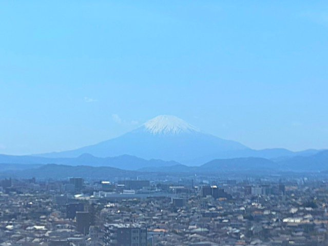 展望