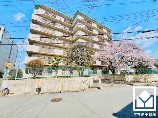 外観：326000237890