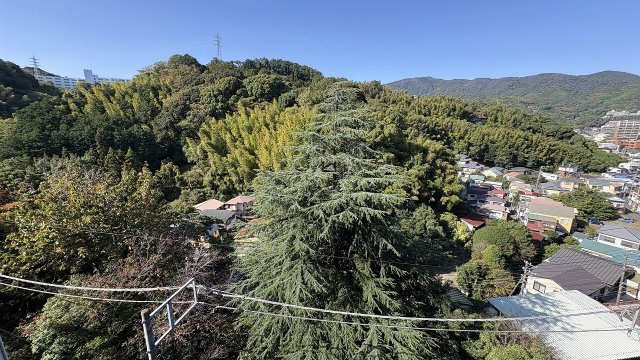 展望